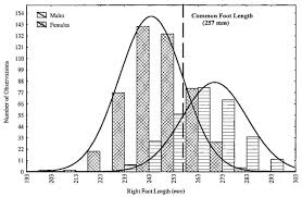 what is the distribution of mens shoe sizes quora