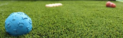 As suppliers and installers of the most technologically advanced artificial grass for pets, developed from 30 years of experience of installations, we know there's no need for dog and cat owners to compromise between a great looking. Pet Turf Artificial Grass For Pets Turf For Pets Bella Turf