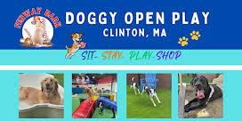 Doggy Open Play
