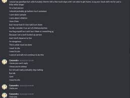 Regarding ZeebDemon, Cassandra Mel, and My Discord Server 