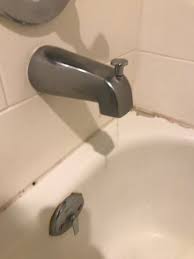 the bathtub faucet