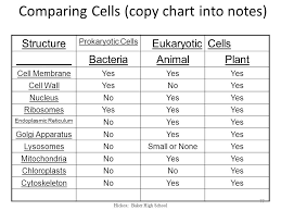 chapter 7 a view of the cell chapter 7 1 the discovery of