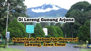 Kebun teh wonosari lawang malang. Agrowisata Perkebunan Teh Wonosari Lawang Jawa Timur Indonesia Part 2 Youtube