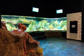 1741 5th avenue se decatur al 35602. The Cook Museum Of Natural Science Tenji Aquarium Design Build