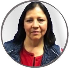 Plantilla de docentes en fisica educativa