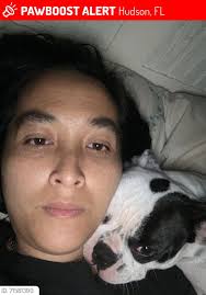 SHE HAS BEEN FOUND 🙏🏼 Last seen 7/04/24 Hollister, by Riverside RD FEMALE  🩷 NAME: Daisy 🐶 BREED: Boston Terrier Playful & Loves Balls If seen  please contact Maria