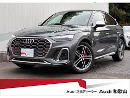 Image result for Daytona Gray 2022 SQ5