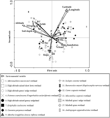 Image result for Fuirena welwitschii