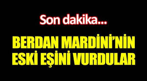 İstanbul'un büyükçekmece ilçesine bağlı dizdariye mahallesi'nde çocuklarını görmeye giden şarkıcı berdan mardini'nin eski eşi fatoş karademir, kırmızı ışıkta beklediği sırada otomobilinin içinde silahlı saldırıya uğradı. Berdan Mardini Nin Eski Esi Fatos Karademir E Silahli Saldiri Bakirkoy Gazetesi