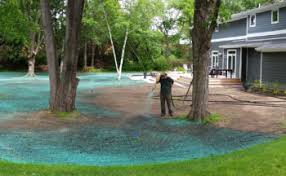 Make other lawns green with envy. Rainbow Lawncare Lawn Care Service In Minneapolis
