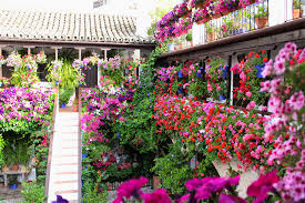 Fiesta is a family business with over 25 years experience. Discover Los Patios De Cordoba Festival Of Flowers 2022