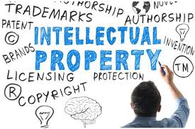 An application, right, or registration relating to this. Intellectual Property Law For Founders Ignitia Office