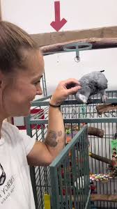 Bird Rescue Sanctuary