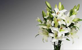 Send flowers and gifts all over the world! Free Delivery Montreal Quebec Flower Delivery Canaflora Ca