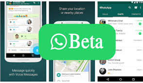 Downloadable files for use with the internet such as real audio, video players, adobe acrobat, and many more. Download Whatsapp Beta 2 20 133 Apk Up To 8 Members In Video Call Feature Added Digistatement