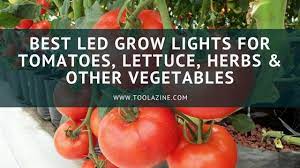 Led lights also tend to come with inbuilt fans, and so in the majority of cases, additional ventilation may not be. Best Led Grow Lights For Tomatoes Lettuce Herbs Other Vegetables Toolazine