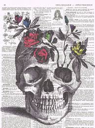 Pin On Skull Illustrations