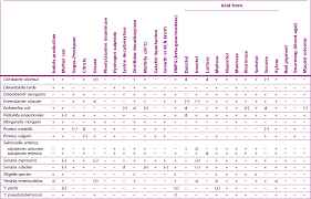 Imvic Test Chart Msr 600 Mini Software