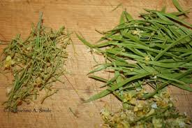 Maybe you would like to learn more about one of these? Edible Flowers Savor The Southwest