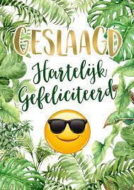 Heb je je diploma behaald? Geslaagd Hartelijk Gefeliciteerd Snelwenskaart Nl