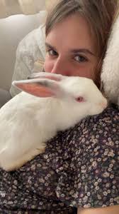 New bunny owner needs help with breed identification