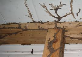 Đường hầm mối gây mất thẩm mĩ