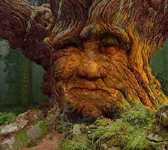 Smugmug S Most Popular Photos Tree Spirit Tree Photography Old Trees
