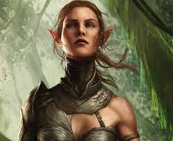 Dos2 Best Companions Original Sin Divinity Original Sin Magic Armor