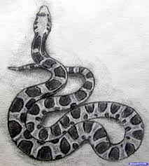 They're considered to be very simple, with no legs or special muscles that need to be defined. How To Draw A Realistic Snake Draw Real Snake Step 8 1 000000039065 5 Jpg 1749 1947 Snake Drawing Snake Sketch Snake Art