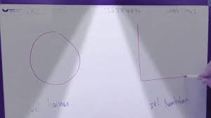 Sel merupakan unit asas bagi semua organisma. Sel Tumbuhan Vs Sel Haiwan Perbezaan Dan Perbandingan 2021 Blog