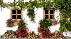 To start a homemade hydroponic garden, you can. Best Diy Ideas To Start Home Gardening