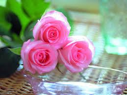 صور احلى الورود ورود ليس لها مثيل صوري