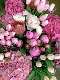 We did not find results for: Bunch Sizes For Flowers And Greenery Dreisbach Wholesale Florists