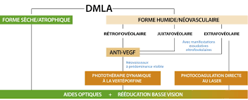 Le traitement de cette forme atrophique est un enjeu très important, afin d'éviter qu'elle soit considérée. La Degenerescence Maculaire Liee A L Age Sciencedirect