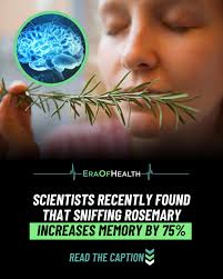 Remember putting this in your locker. Smelling Amynal Nitrate would give  you a real head rush!