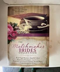 The Amish Widow's New Love and Plain Outsider by Liz Tolsma, Alison Stone