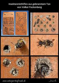 Nisthilfe Insect Nisting Aid Insektenhotel Insect Hotel Rostrote Rote Mauerbiene Osmia Bicornis Red Mason Bee Scherenbiene Sc Insektenhotel Wildbienen Insekten
