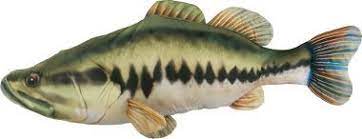 Kids Giant 4 Fish Pillow Comes In Bass Blue Gill Shark Dolphin Crocodile Or Rainbow Trout 19 99 Giant Stuffed Animals Giant Fish Fish Pillow