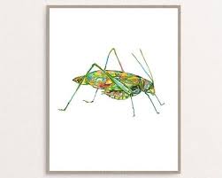 Follow this board for ideas on how to add some greenery to your home!. Katydid Painting Watercolour Ink Iridescent Green Wall Art Bug Etsy