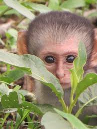 Kruger Uncapped is the most wonderful group to be part of. Nothing posted  will ever disappoint you.