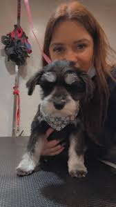 Ruff Around The Edges Grooming