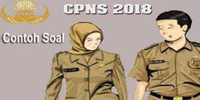 Contoh Soal Tes Cpns 2018 Beserta Kunci Jawaban Dan Tips Tips Menjawabnya Pendidikan Latihan Belajar