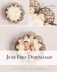 Twine Circles Bowl Digital Backdrop Background Psd With Layers