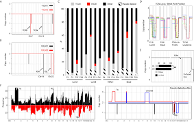 The type of breast cancer is determined by the specific cells in the breast that are affected. Novel Insights Into Breast Cancer Copy Number Genetic Heterogeneity Revealed By Single Cell Genome Sequencing Elife