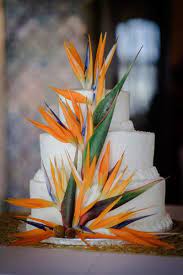 Nicole And Tim S Wedding In Florida Tropical Wedding Cake Bird Of Paradise Wedding Paradise Wedding
