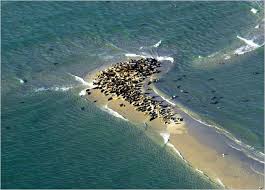 jaws comes home pictures cape cod beaches cape cod vacation cape cod massachusetts
