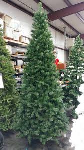 Free shipping on all orders over $199. Christmas Tree 10 Pre Lit Juniper Spruce With 900 Clear Lights Business News Paulding Com