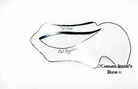 Printable Cat Eyeliner Stencil Eyeliner Pochoir Beaute