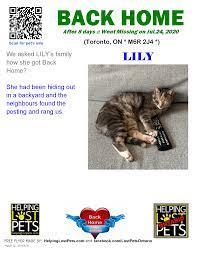 Pet insurance for toronto humane society customers is underwritten and distributed by petline insurance company. Lost Cats Toronto Posts Facebook