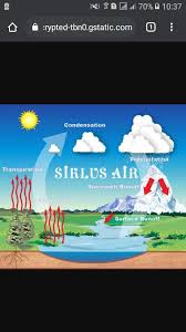 May 26, 2021 · tag: Buatlah Dua Poster Tentang Siklus Air Dan Bencana Kekeringan Brainly Co Id